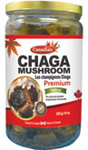 Canadian CHAGA Mushroom