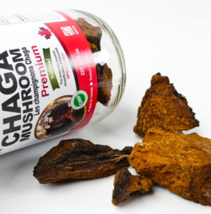 Nutridom Chaga Mushroom Chunk 225g (8oz) - Image 2