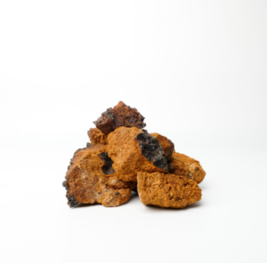 Nutridom Chaga Mushroom Chunk 225g (8oz) - Image 3