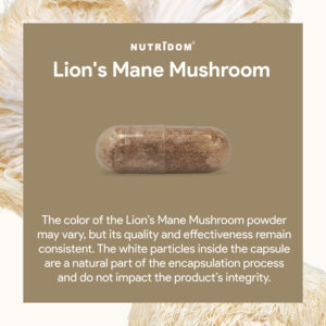 Nutridom Lion’s Mane mushrooms - Image 3